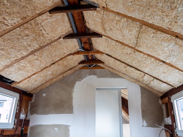 Professional Attic Expansion